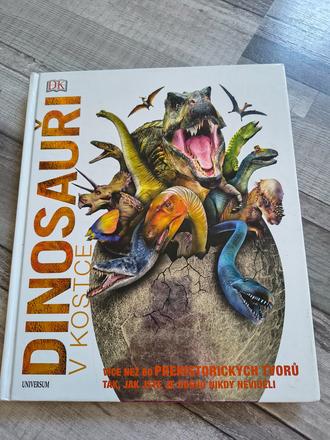 Kniha dinosauři v kostce, 
