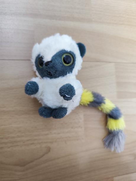 Plyšák lemur, 