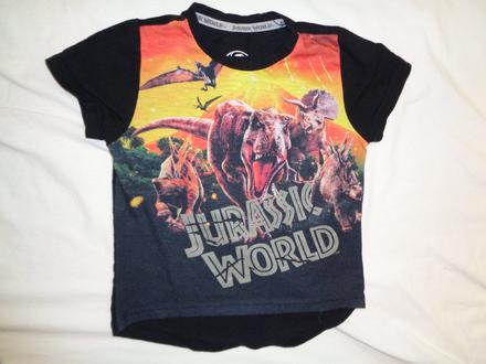Super tričko s dinosaury, 98