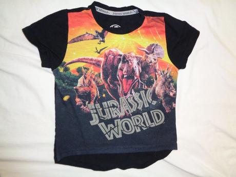 Super tričko s dinosaury, 98