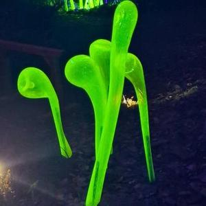 @hojda: Vánoční ladění