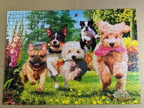 Trefl tea time potíže na obzor - 1000 dílků, 