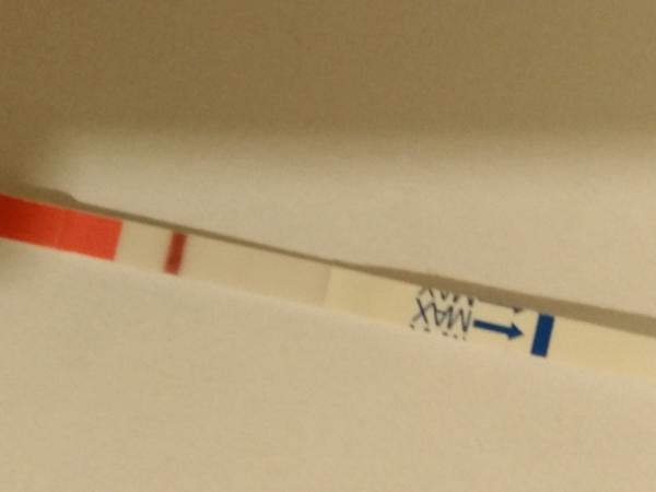 Těhotenský test, mohlo by z toho něco být?