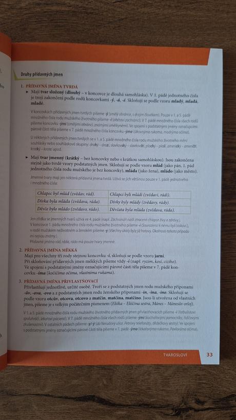 Průvodce českým jazykem didaktis, 