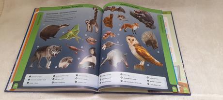 Oxford dětský česko-anglický obrazový slovník,