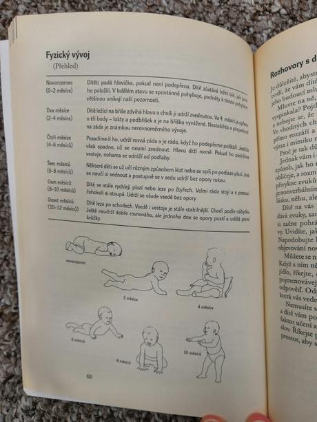 Kniha první rok vašeho dítěte, 