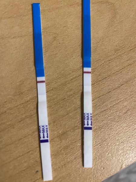 Je to ryska? Jak poznat správný výsledek na testu Dr. Maxe