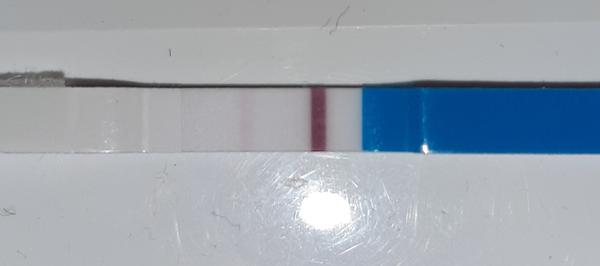 Možné těhotenství 🤔🤗?