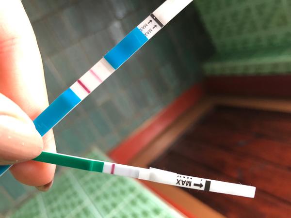 Skoro každý den testuji (testy od pátku 25.9.). Mohla bych být těhotná?