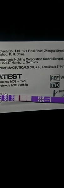 Jak rozeznat rysku od ducha na těhotenském testu?