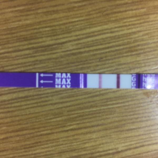 2. den meškání ms