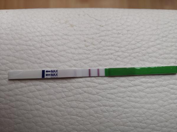 Folikulometrie a ovulační test. Jak byste řešily vy?