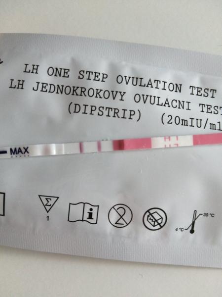Jak dloho trvá ovulace od pozitivního testu?