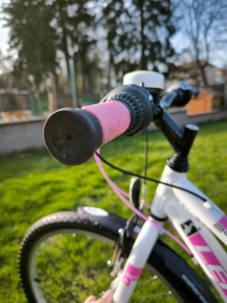 Kolo leader fox 24', 24