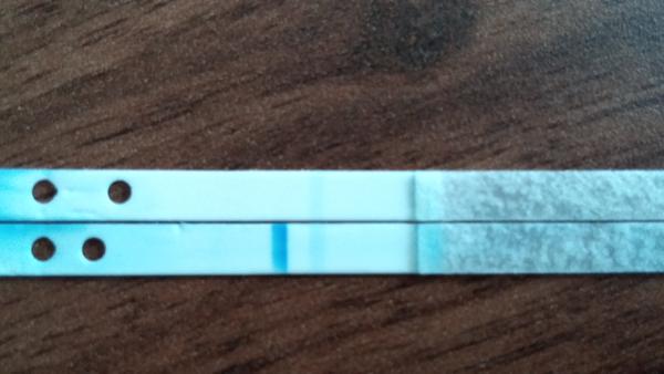 Rozebraný test Clearblue digital ukázal 2 čárky