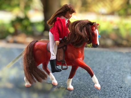 Hnedo-zrzavy kun s panenkou,