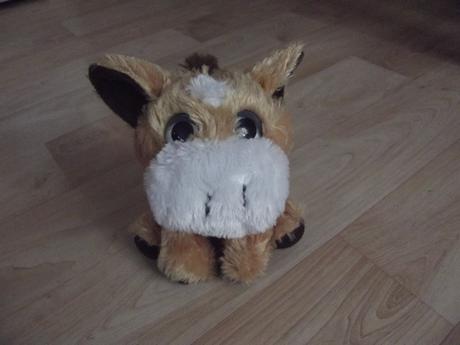 Plyšák koník, 