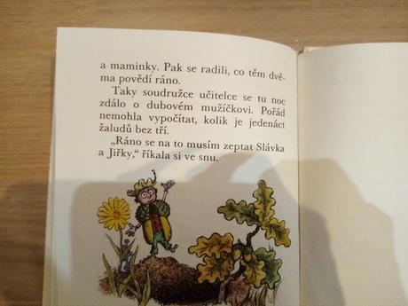 Knížka jak si slávěk načaroval dubového mužíčka, 