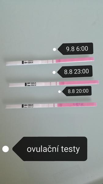 Těhotenský test. Máte podobnou zkušenost?