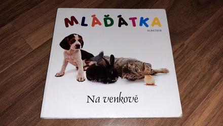 Mláďátka - na venkově,