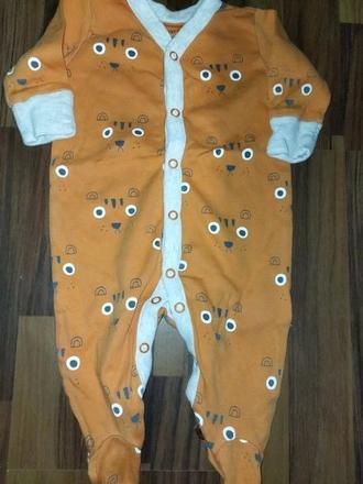 Overal s tygry 62 next, next,62