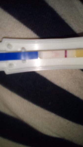 Poradíte mi? Nedokážu odhadnout test