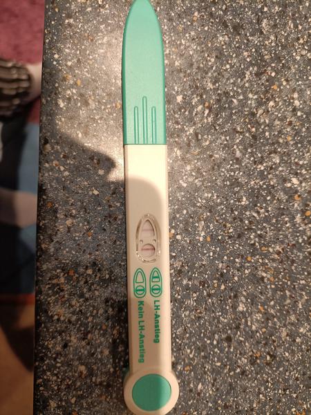 Kdy těhotenský test ukazuje pozitivní výsledek?