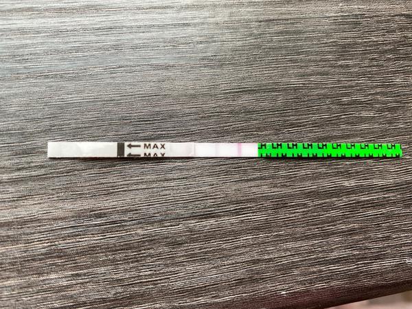 Ovulace. Co myslíte?