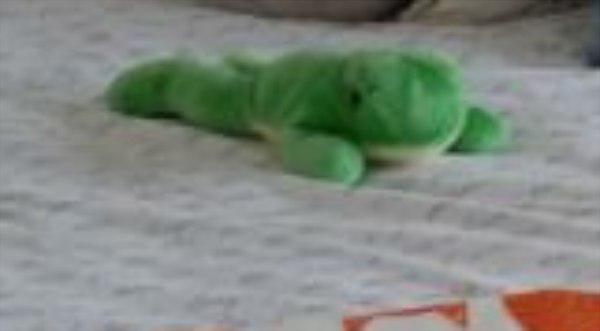 Sháním tuto plyšovou žabku. Prosím, pomozte!