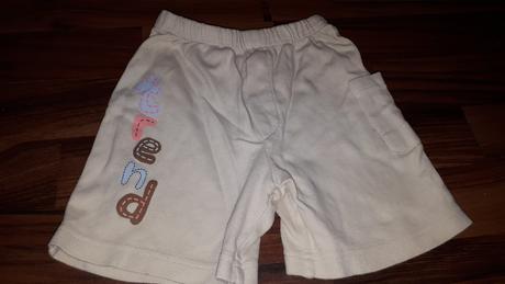 Kratase vel. 80, tulec trend,80