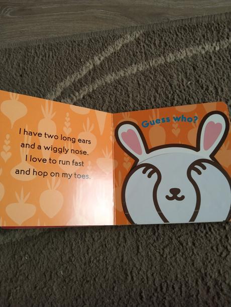 Leporelo s otviracími okénky, 