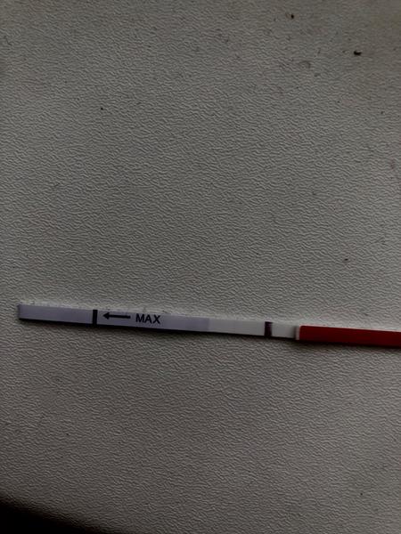 Rozházený cyklu. Může z toho být těhotenství?