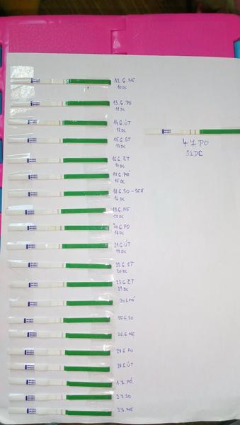 Dlouhý cyklus, nebo těhu?