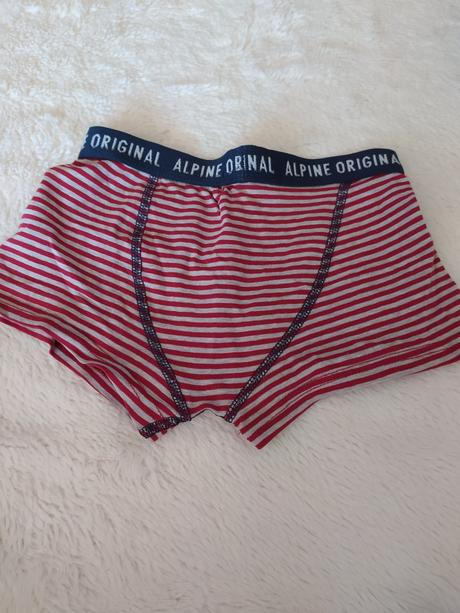Boxerky alpine 2ks -98/104, alpine pro,98