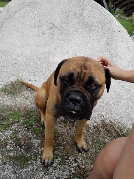 Čo znamená výsledok teh. testu?