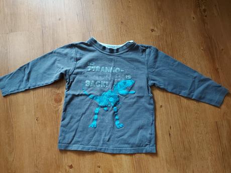 Tričko s dinosaurem, 110