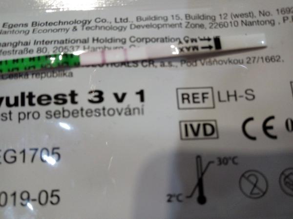 Ovulační test skoro pozitivní