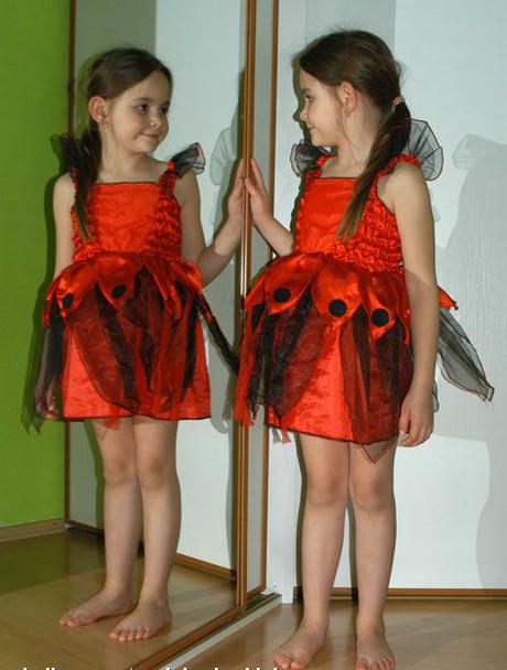 Karnevalové šaty beruška,