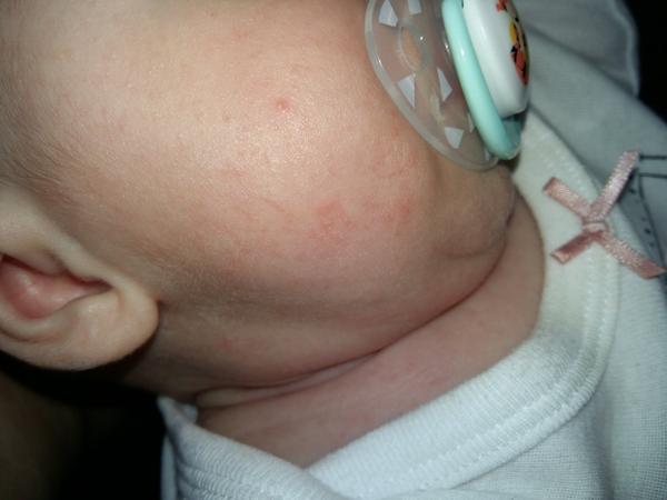 Potničky - malá má 8 týdnů. Jedná se o ně?