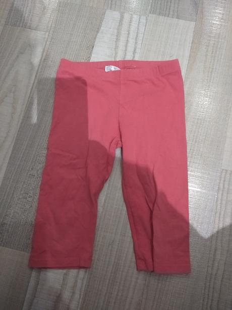 3/4 legíny, terranova,104