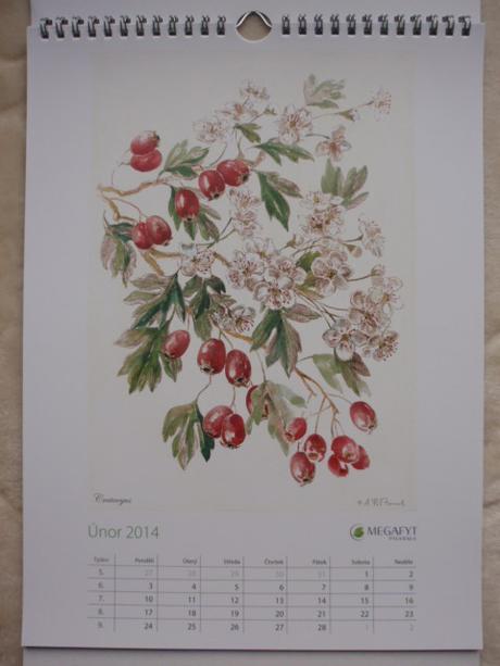 Kalendář nástěnný-na stěnu 2014, 