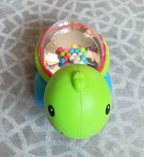 Želva jezdící, chrastící, 