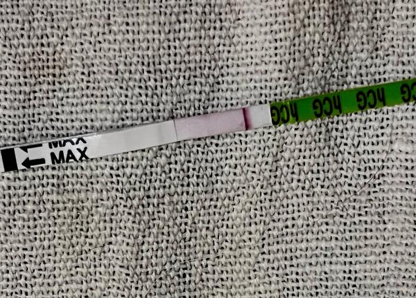 Je možné, že jde o těhotenství při nízké bazální teplotě?