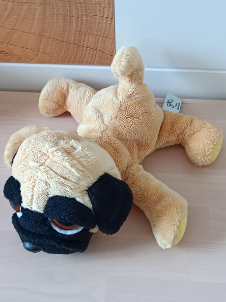 Plyšový pejsek mops vykulínek,