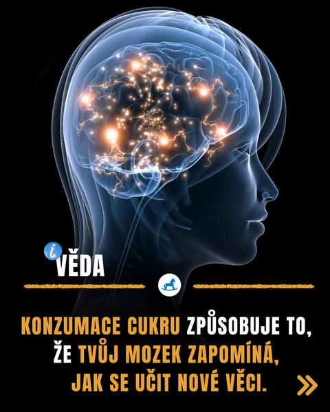 Jak cukr ovlivňuje učení a paměť?