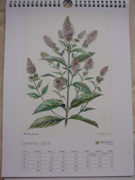 Kalendář nástěnný-na stěnu 2014, 