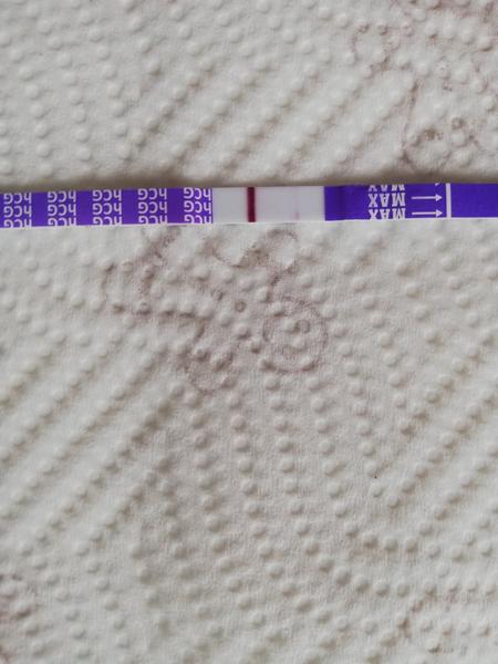 Dnes 11 dpo. Myslíte, že jsem těhotná?