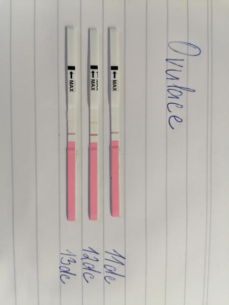 Ovulace nebo ne. Co myslíte, proběhla už?