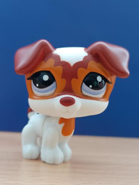 Lps jack russell teriér, 