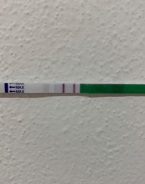 Ovulační test. Proběhla už ovulace?